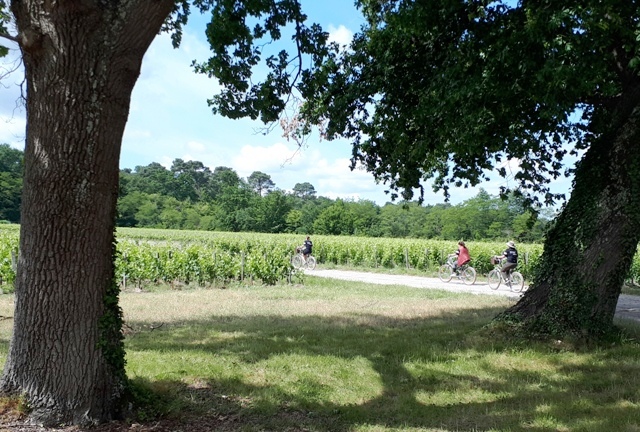 premiers-vignobles-graves